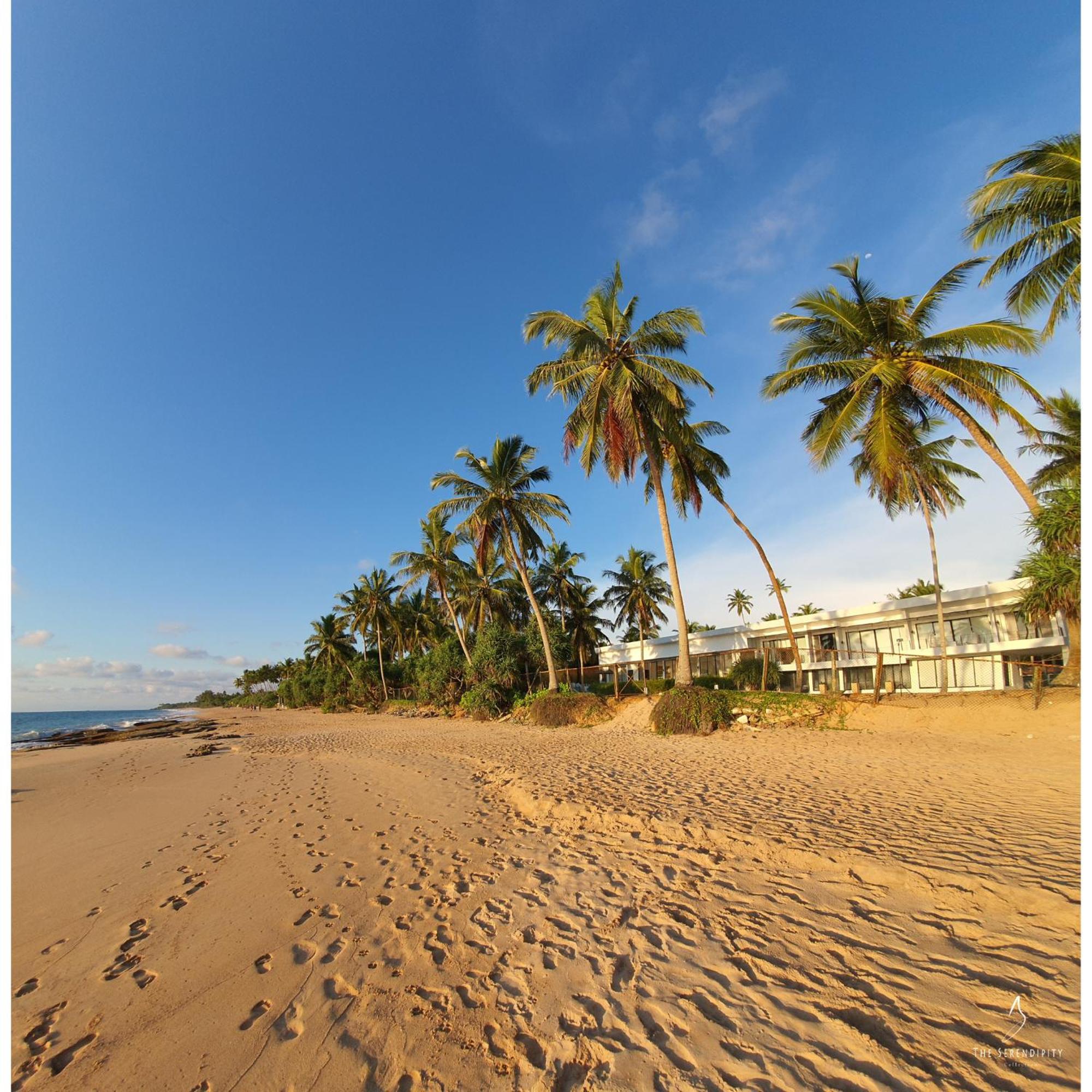 Green Turtle Villa By The Serendipity Collection Bentota Bagian luar foto