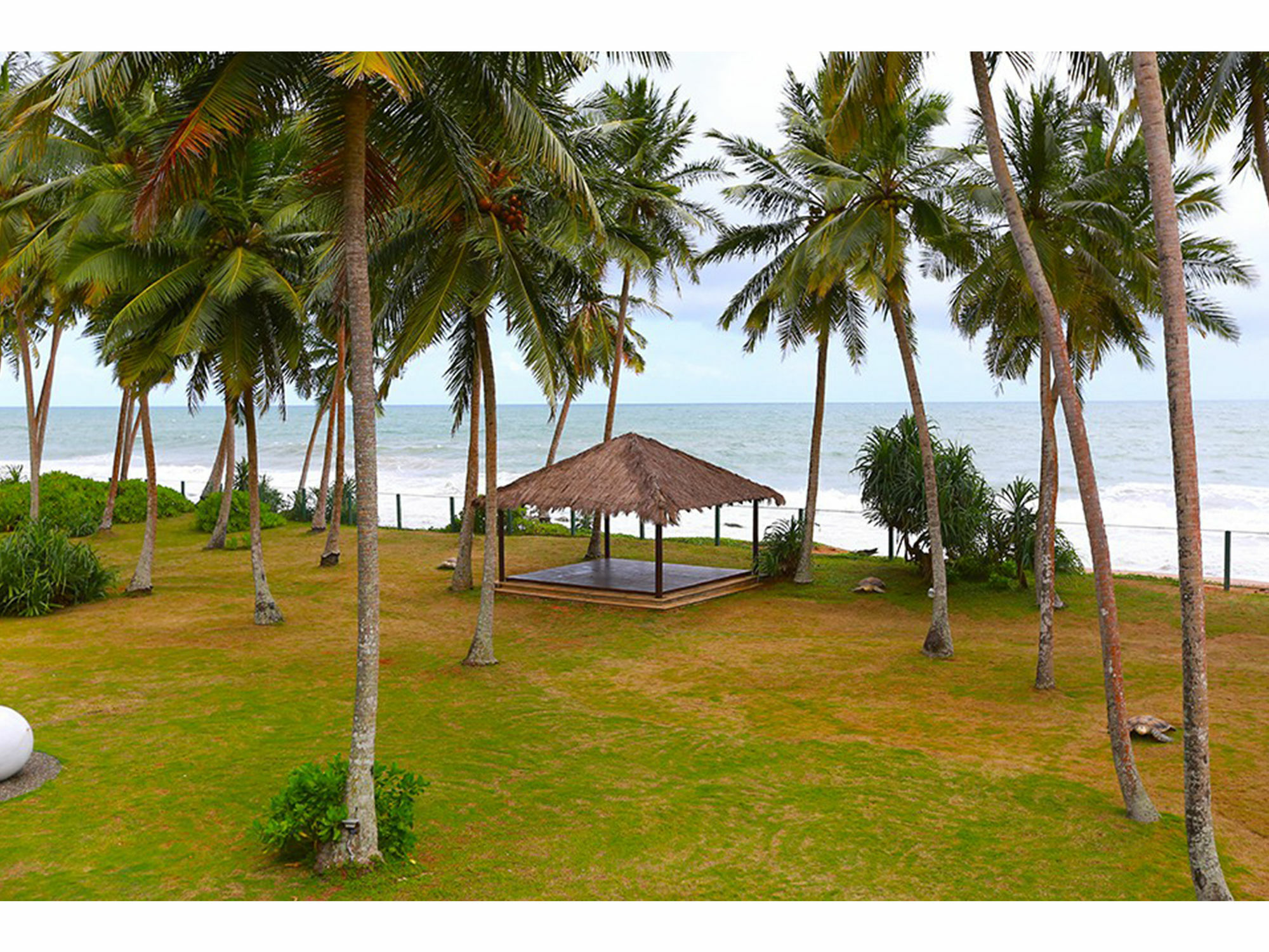 Green Turtle Villa By The Serendipity Collection Bentota Bagian luar foto